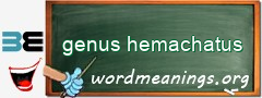 WordMeaning blackboard for genus hemachatus